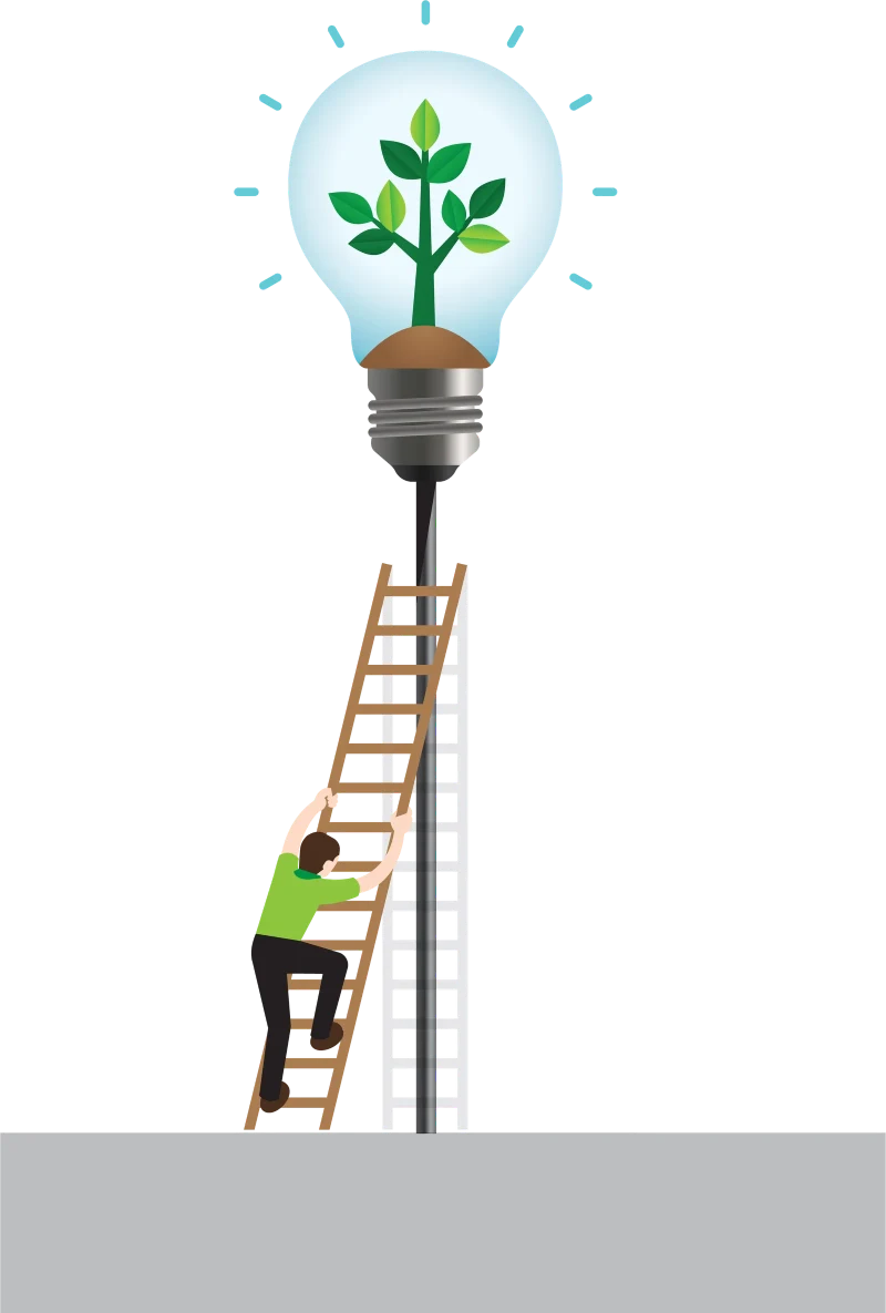 Bulb